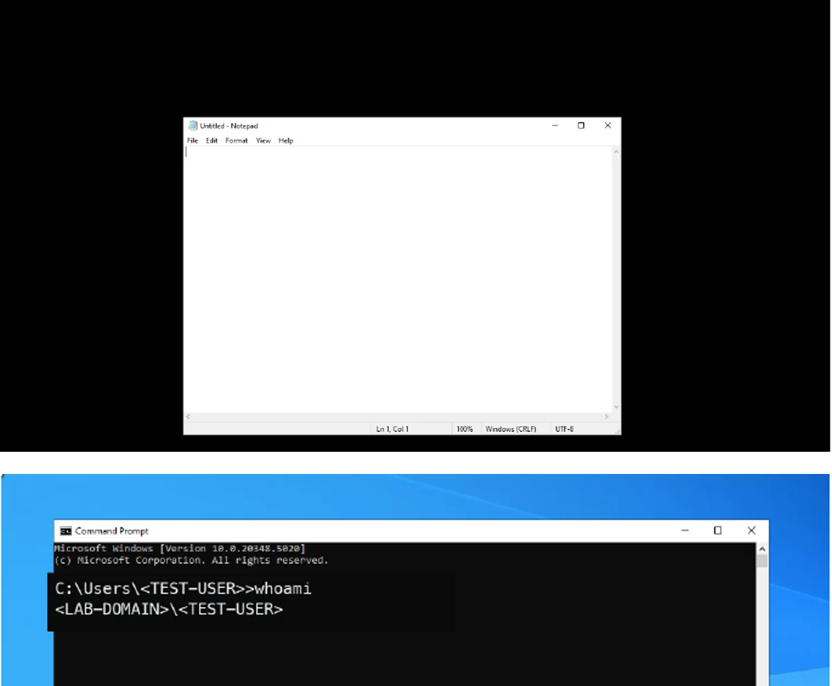 Sanitized application launch and Windows whoami evidence with user and domain placeholders